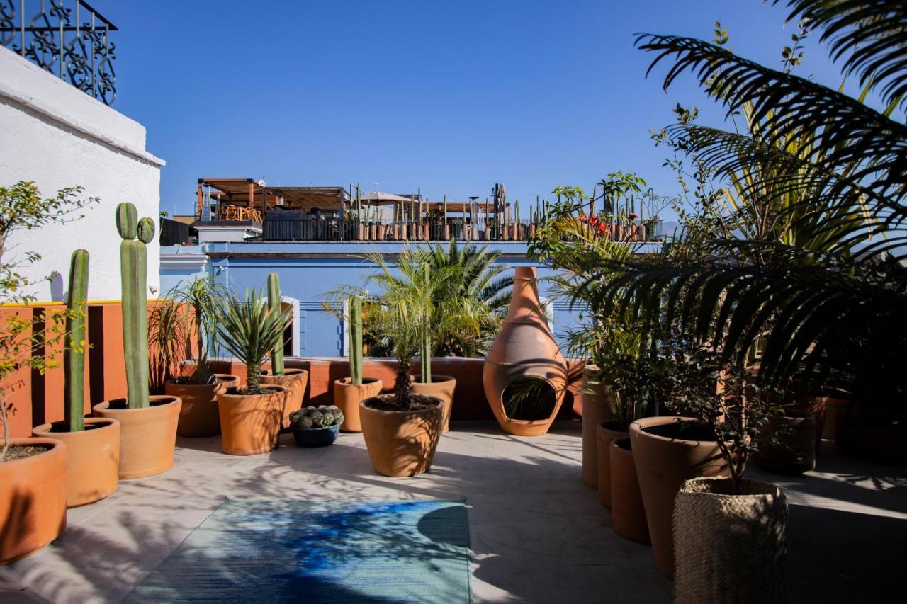 Oaxaca Hotel Los Amantes מראה חיצוני תמונה