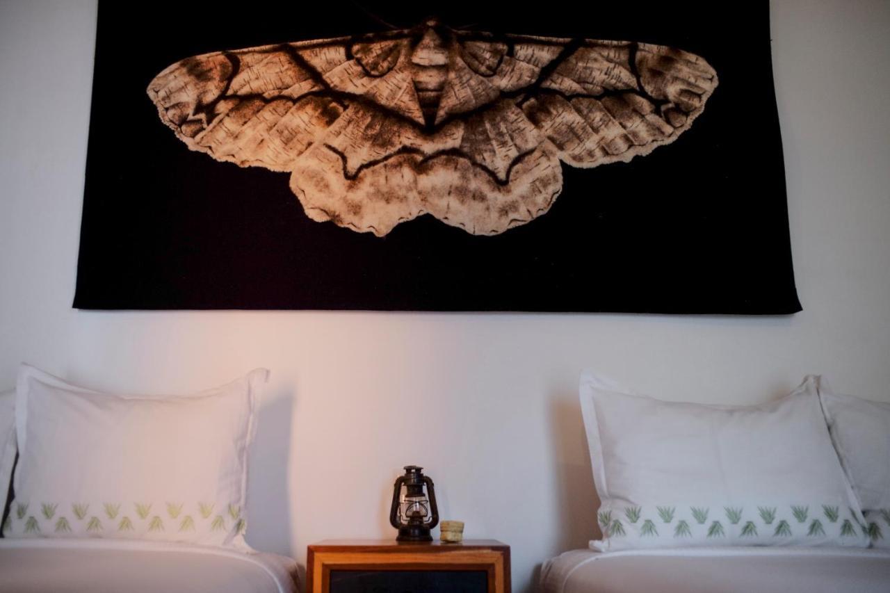 Oaxaca Hotel Los Amantes מראה חיצוני תמונה